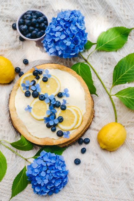 Lemon Blueberry Cheese Tart photo