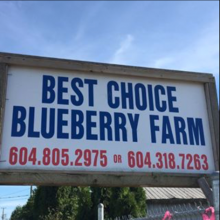 Best Choice Blue Berry Farm