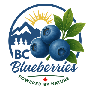 Conseil des bleuets de la Colombie-Britannique