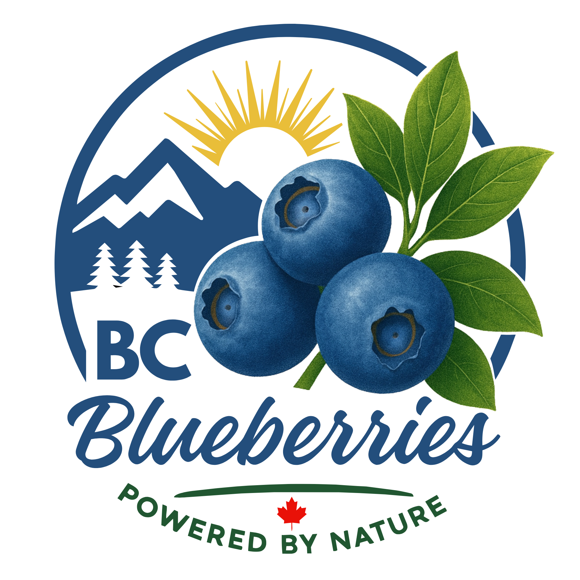 Conseil des bleuets de la Colombie-Britannique