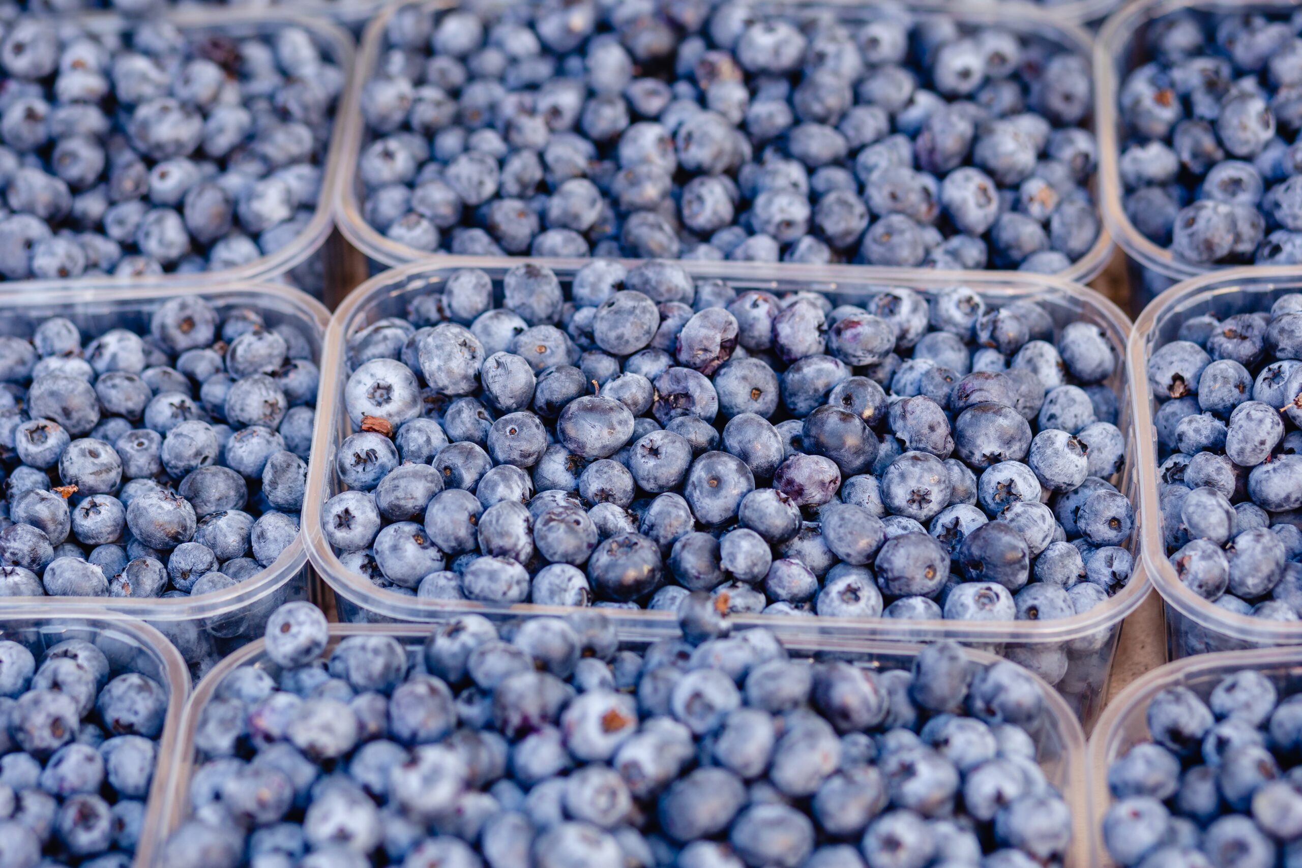 Blueberries in the Global Market
